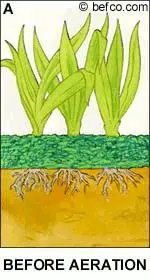 Benefits of lawn aeration
