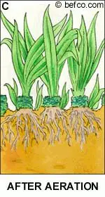 Benefits of lawn aeration